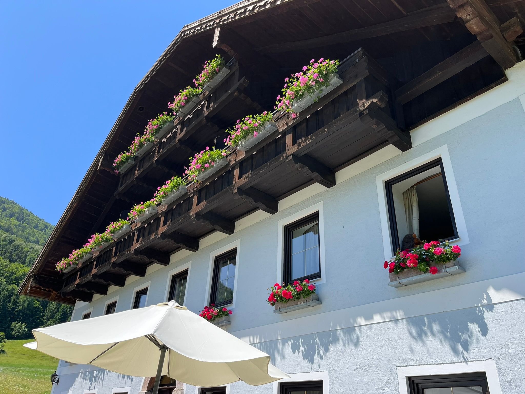 image pension hohenau